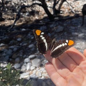 Meet your Posher, Kris